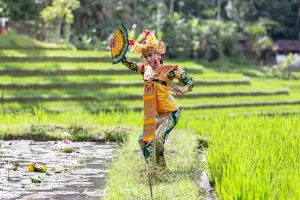 legong dance open space performance